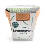 Radis et Capucine - Kit Citronnelle - Pot en Terre Cuite - 13 cm - PACKAGING_3D_VERSO